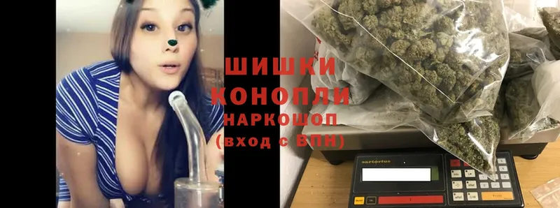 где продают   Шумерля  Шишки марихуана SATIVA & INDICA 